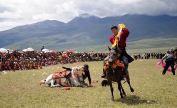 Tibet Saga Dawa Festival Tour