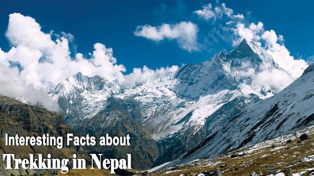 Interesting facts related to trekking in Nepal