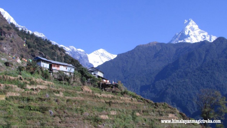 Annapurna Khayer Trek