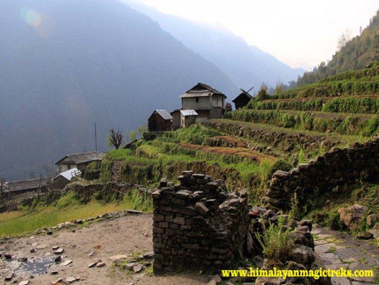 Annapurna Ghale Gaun Trek