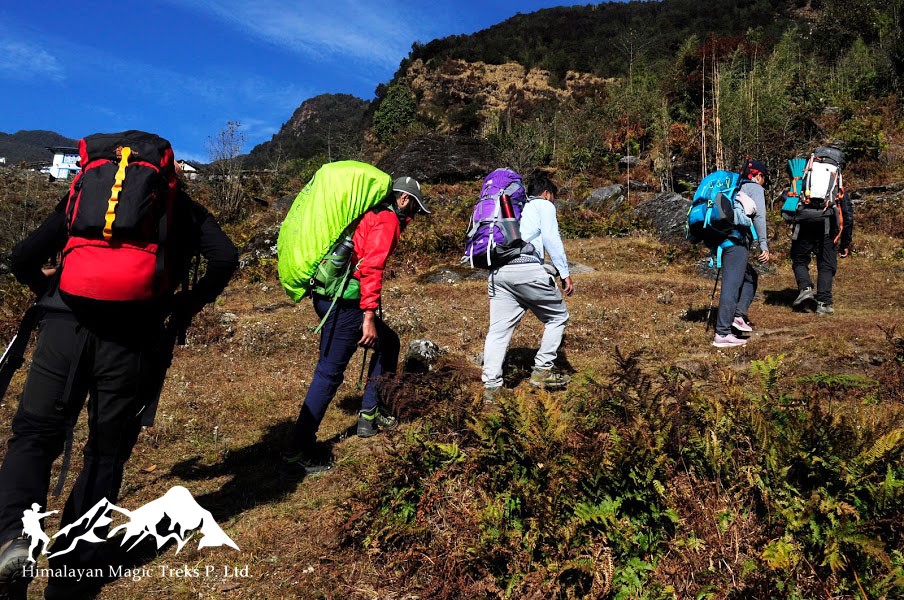 Explore the rhododendron forests of Milke Danda Hill Trek