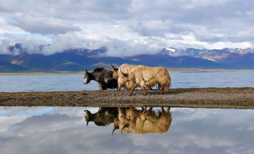 Tibet Lhasa Nam Tso Lake Tour